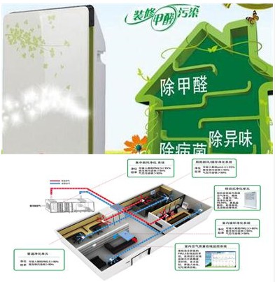新裝修的辦公室味道大，怎么辦？